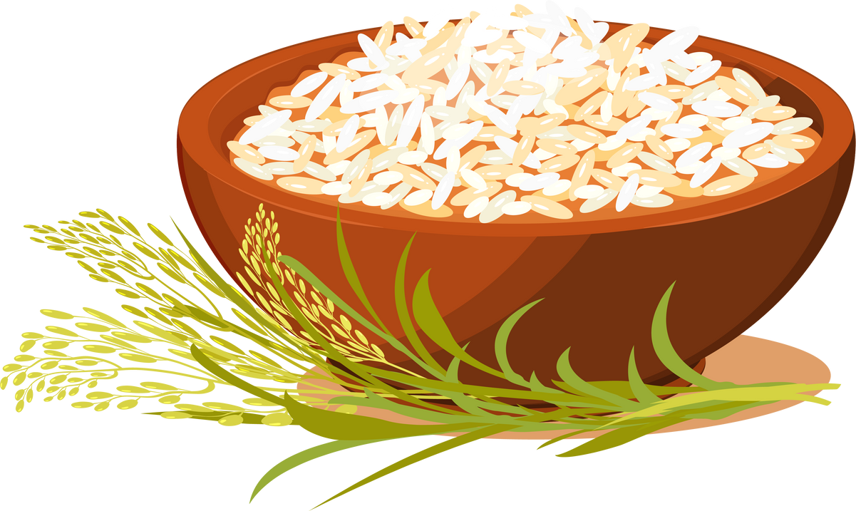 Bowl of Rice